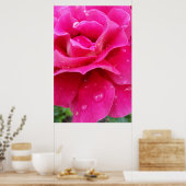 roze roze rozenbladen poster (Keuken)