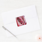 Roze roze rozenbloem waterverf abstracte kunst vierkante sticker (Envelop)
