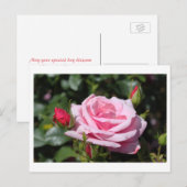 roze roze rozenbloemen gefeliciteerd met hun verja briefkaart (Voorkant / Achterkant)