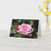 roze roze rozenbloemen gefeliciteerd met hun verja kaart (Gele Bloem)