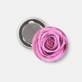 Roze roze rozenomcirkel magneet (Voorkant / Achterkant)