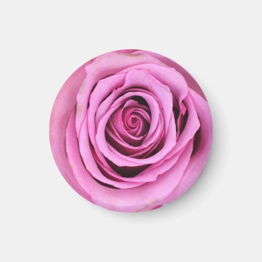 Roze roze rozenomcirkel magneet (Voorkant)