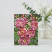 Roze roze schoonheid briefkaart (Staand voorkant)