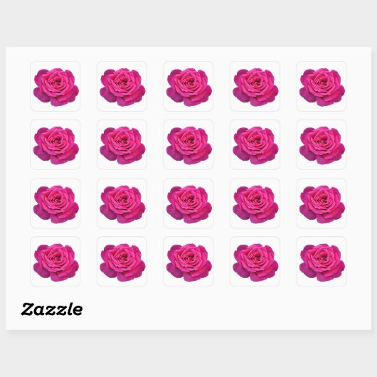 Roze roze schoonheid vierkante sticker (Vel)