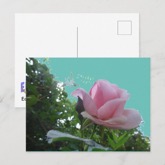 Roze roze sluit het DIY-Briefkaart af Briefkaart (Voorkant / Achterkant)