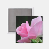 Roze roze ventilator magneet (Voorkant / Achterkant)