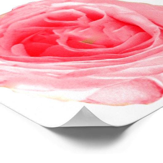 Roze roze ventilator poster (Hoek)