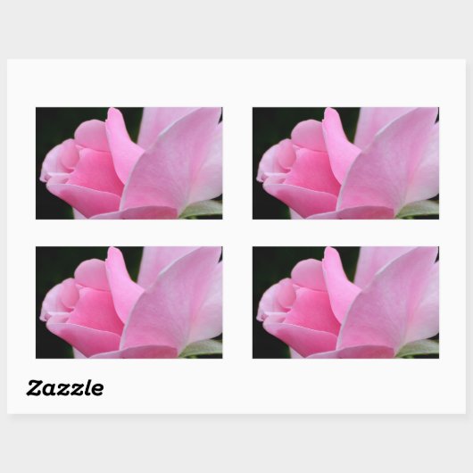 Roze roze ventilator rechthoekige sticker (Vel)