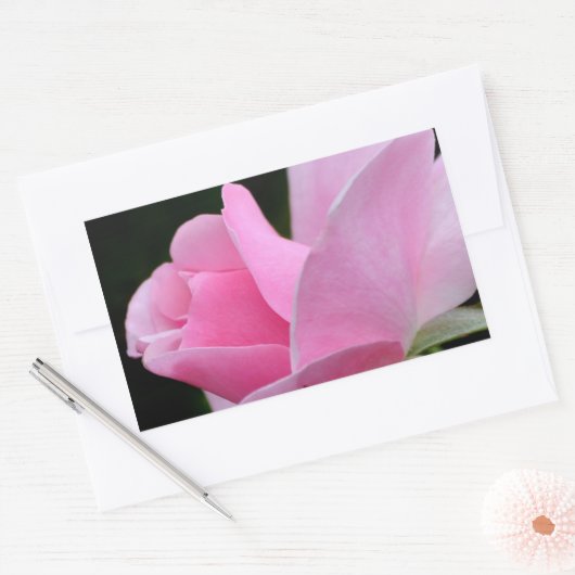 Roze roze ventilator rechthoekige sticker (Envelop)