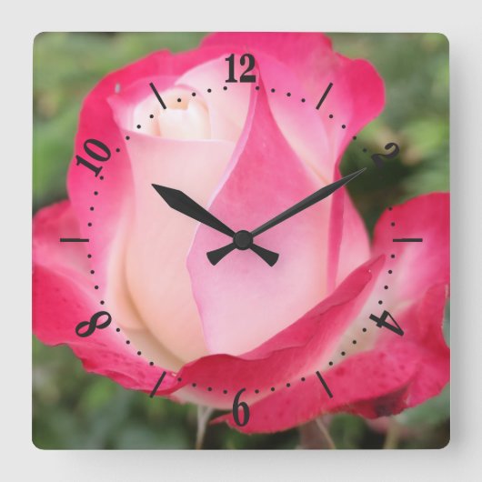 Roze, roze, vierkante muur klok (Voorkant)