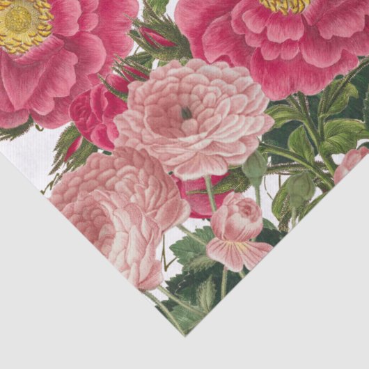 Roze roze vlinder Frans Script Tissuepapier (Detail)