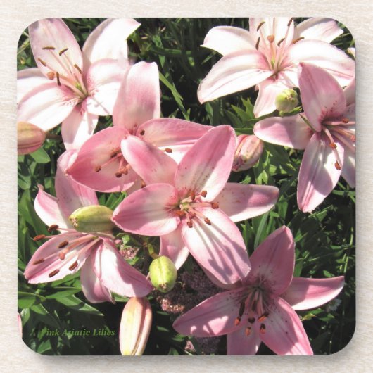 Roze, roze, witte assiatische lenzen bier onderzetter (Voorkant)