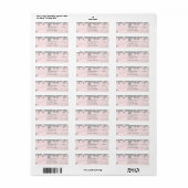 Roze Roze Zilver & Grijs Glitter Stippen Glam Fees Etiket (Full Sheet)