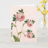 Roze rozen, als ik weg ben sympathiegedicht kaart (Gele Bloem)