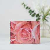 Roze Rozen Ansichtkaart Briefkaart (Staand voorkant)