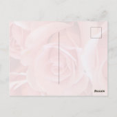 Roze Rozen Ansichtkaart Briefkaart (Achterkant)