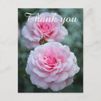 Roze rozen bedankt
