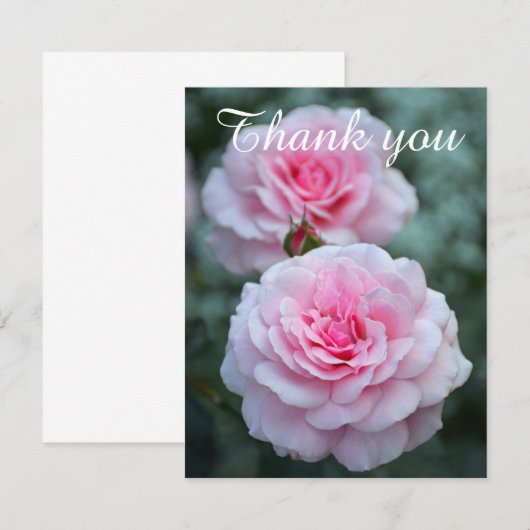 Roze rozen bedankt (Voorkant / Achterkant)