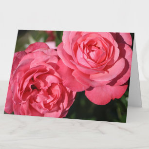 Roze rozen blanco binnenkant bloemmotief notitiekaartje