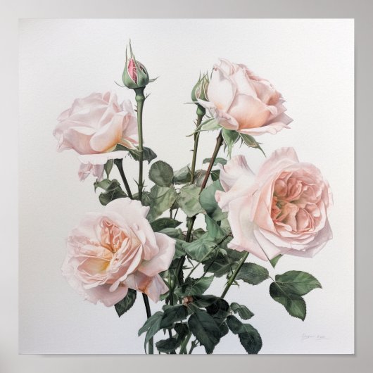 Roze Rozen Bloem Art Print Poster (Voorkant)