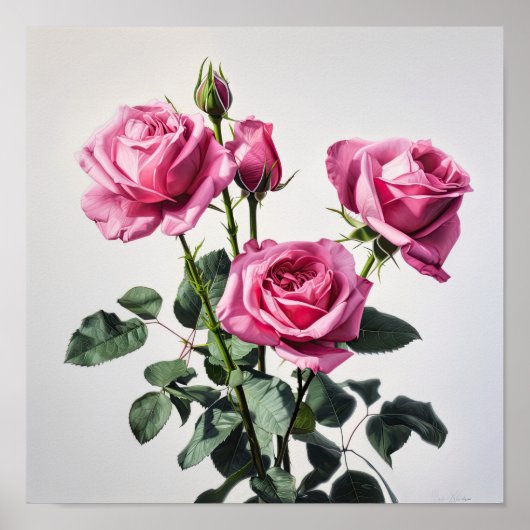 Roze Rozen Bloem Art Print Poster (Voorkant)