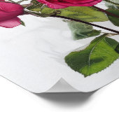 Roze Rozen Bloem Art Print Poster (Hoek)