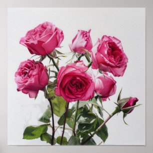 Roze Rozen Bloem Art Print Poster