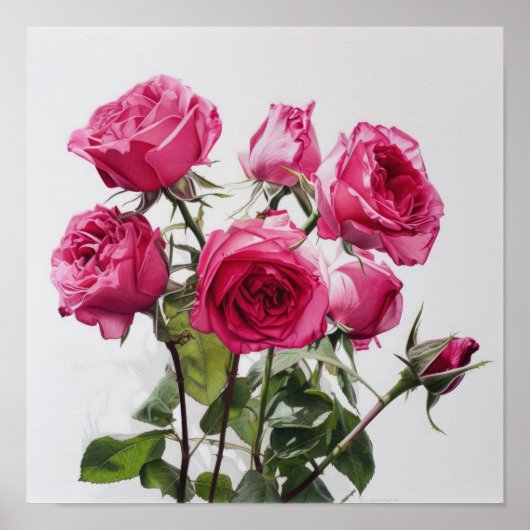 Roze Rozen Bloem Art Print Poster (Voorkant)