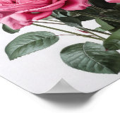 Roze Rozen Bloem Art Print Poster (Hoek)