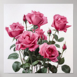 Roze Rozen Bloem Art Print Poster
