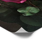 Roze Rozen Bloem Art Print Poster (Hoek)