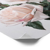 Roze Rozen Bloem Art Print Poster (Hoek)