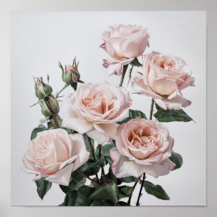 Roze Rozen Bloem Art Print Poster