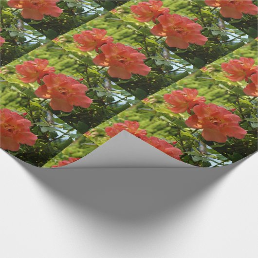 Roze Rozen Bloem Foto Wrapping Papier (Hoek)