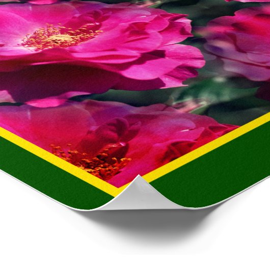 Roze Rozen Bloemen Abstracte kunst Poster (Hoek)