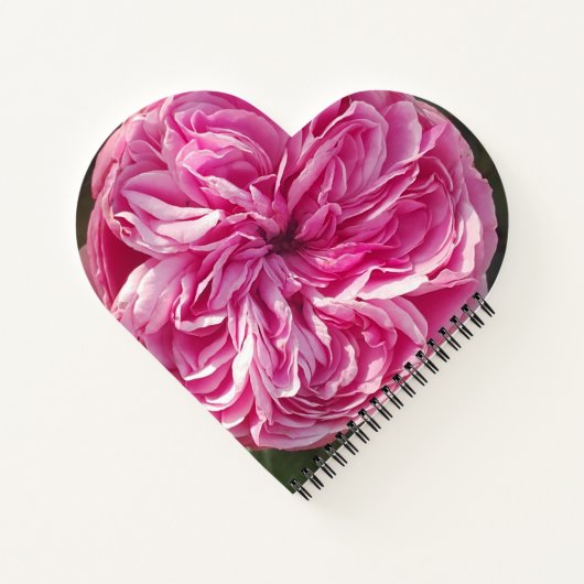 Roze  Rozen bloemen Florence Name Womans Notitieboek (Achterkant)