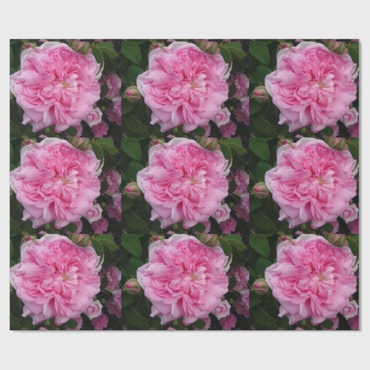 Roze  Rozen bloemen floreren Verpakking Cadeaupapier (Vlak)