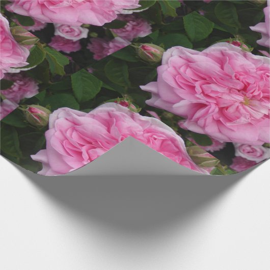 Roze Rozen bloemen floreren Verpakking Cadeaupapier (Hoek)