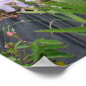 Roze rozen bloemen Natuur Cottage Garden Poster (Hoek)