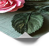 Roze rozen bloemen poster (Hoek)