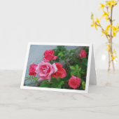 Roze Rozen Bloemenportret Kaart (Gele Bloem)