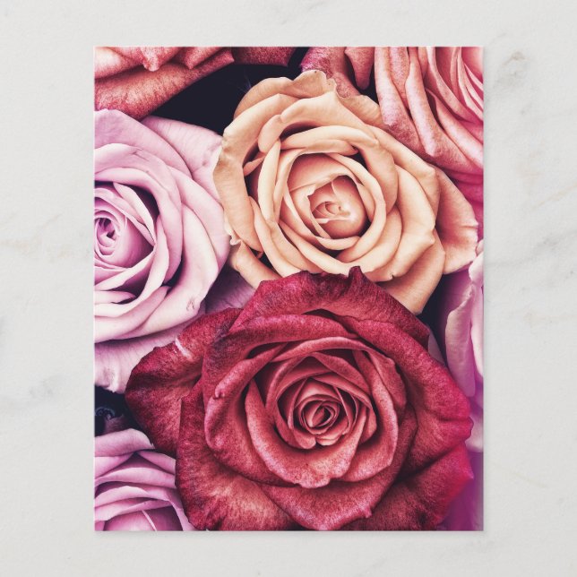 Roze Rozen Boeket Foto (Voorkant)