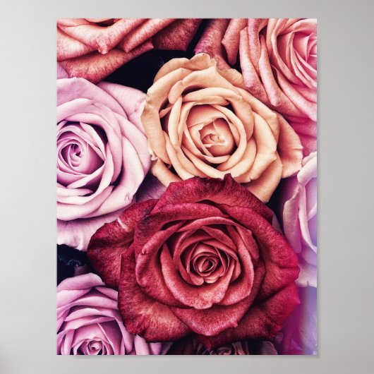 Roze Rozen Boeket Foto Poster (Voorkant)