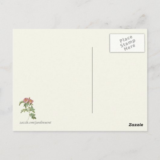  roze rozen botanische afdrukken briefkaart (Achterkant)