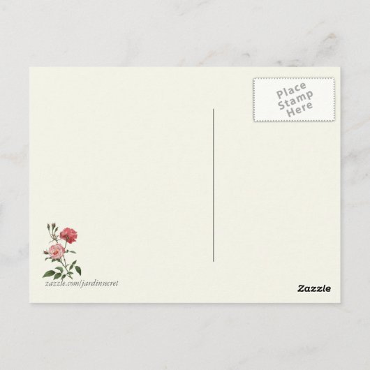  roze rozen botanische afdrukken briefkaart (Achterkant)