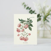  roze rozen botanische afdrukken briefkaart (Staand voorkant)