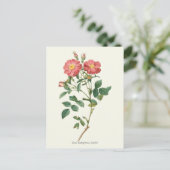  roze rozen botanische afdrukken briefkaart (Staand voorkant)