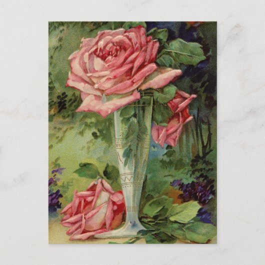 roze rozen briefkaart (Voorkant)