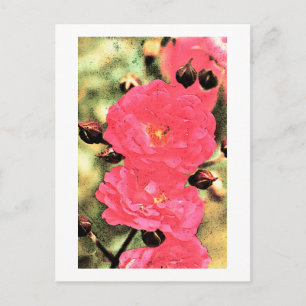 Roze rozen briefkaart