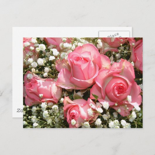 Roze Rozen | Briefkaart (Voorkant / Achterkant)